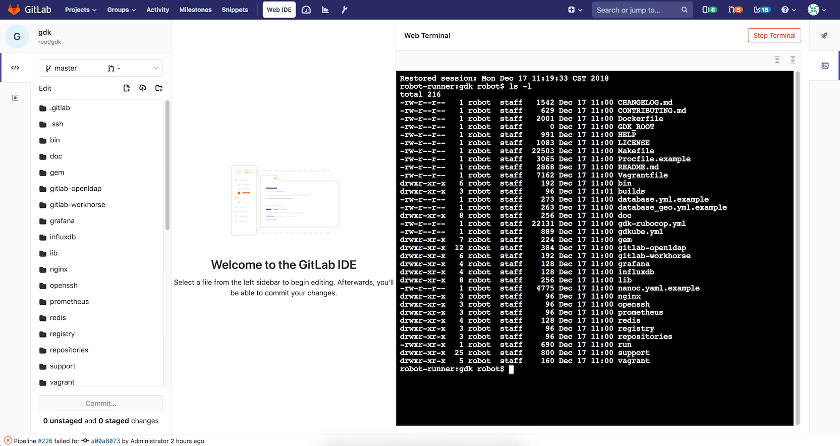 Web Terminal for Web IDE (beta)